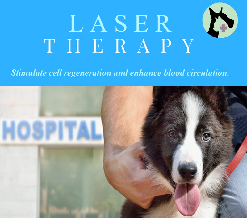 Laser Therapy