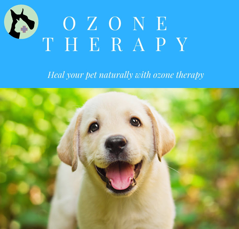 Ozone Therapy